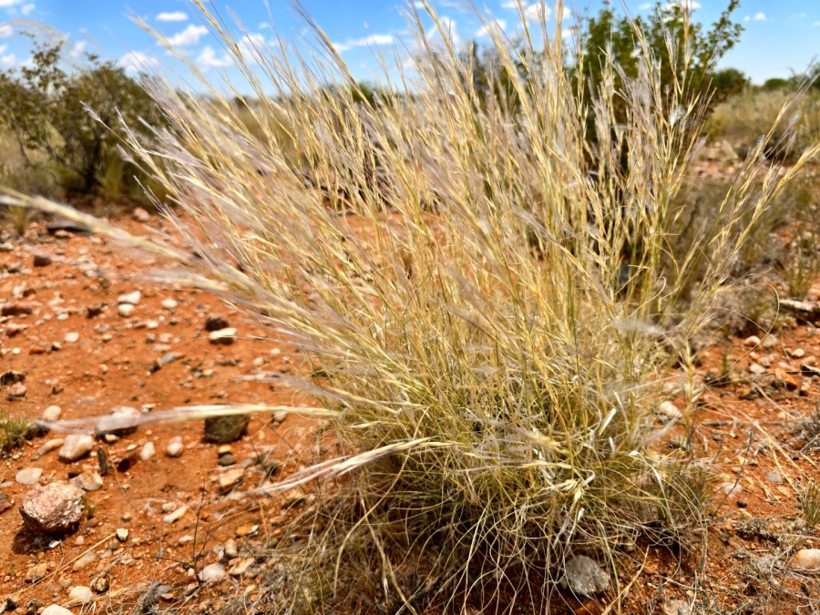 Commercial Property for Sale in Upington Rural Northern Cape